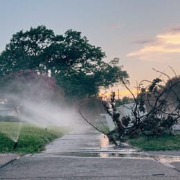 0002. Crepe Myrtles and Bulk Trash