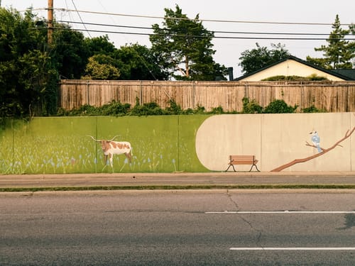 The mural painted on the concrete retaining wall on the east side of Marsh Ln, south of I635